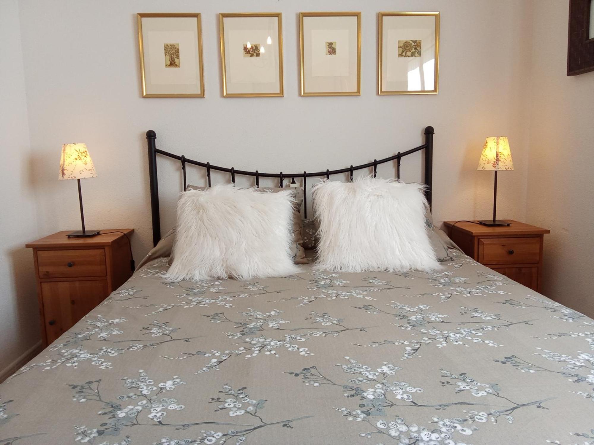 Tena Tourist Apartment Biescas (Aragon)